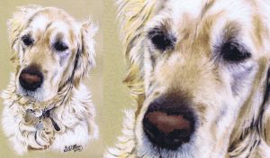 About Steve Morris Pet Portrait Artist