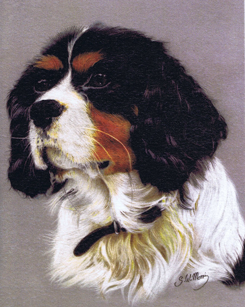 pastel-dog-portraits