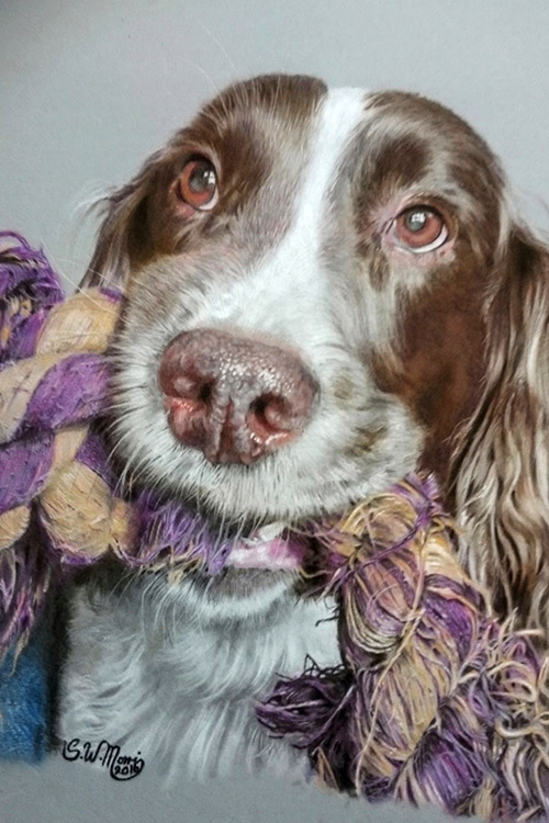 pastel-dog-portraits