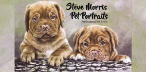 steve-morris-coming-soon-holding-page-v3