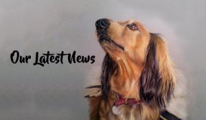 our-news-page