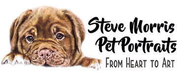 Pet Portraits of your Dog, Cat or Horse