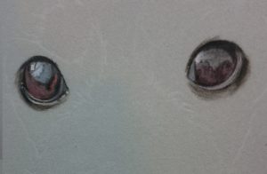 the-eyes-pastel-dog-portraits