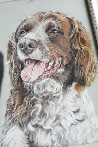 last-pet-portrait-2018