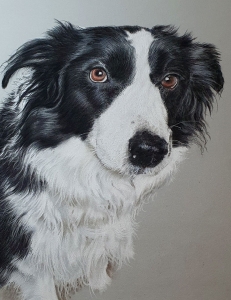 First pet portrait of 2021