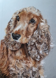 steve-morris-pastel-pet-portraits-latest-002