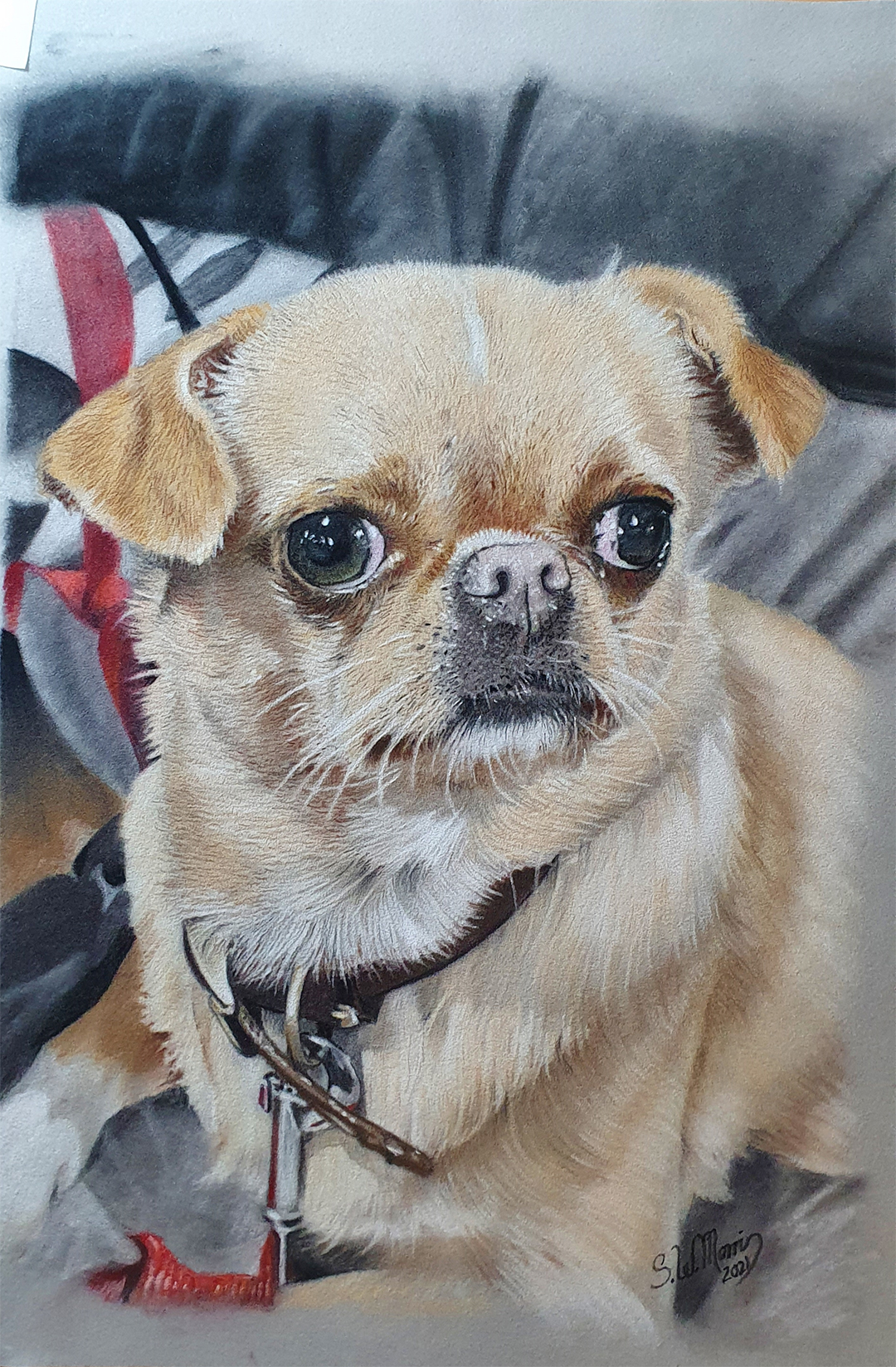 steve-morris-pastel-pet-portraits