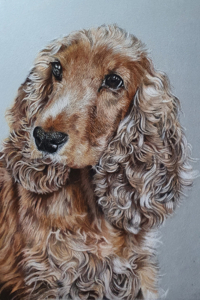 pastel-pet-portraits
