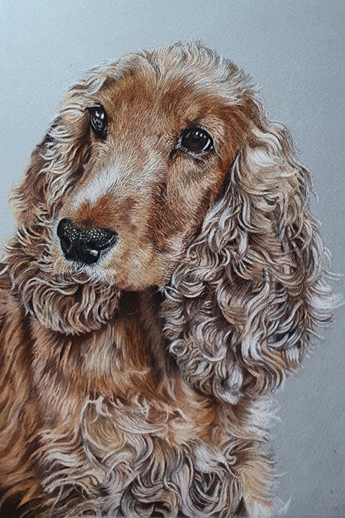 pastel-pet-portraits