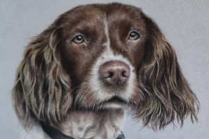 pastel-pet-portraits