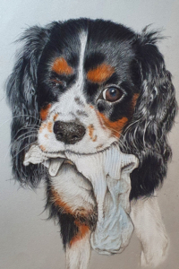 pastel-pet-portraits
