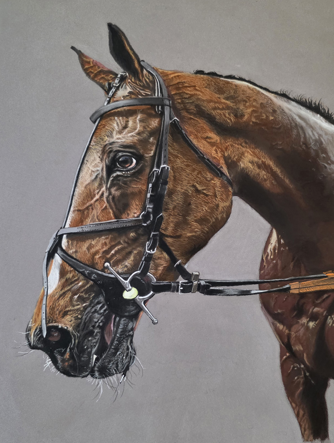 horse-portraits-uk-02