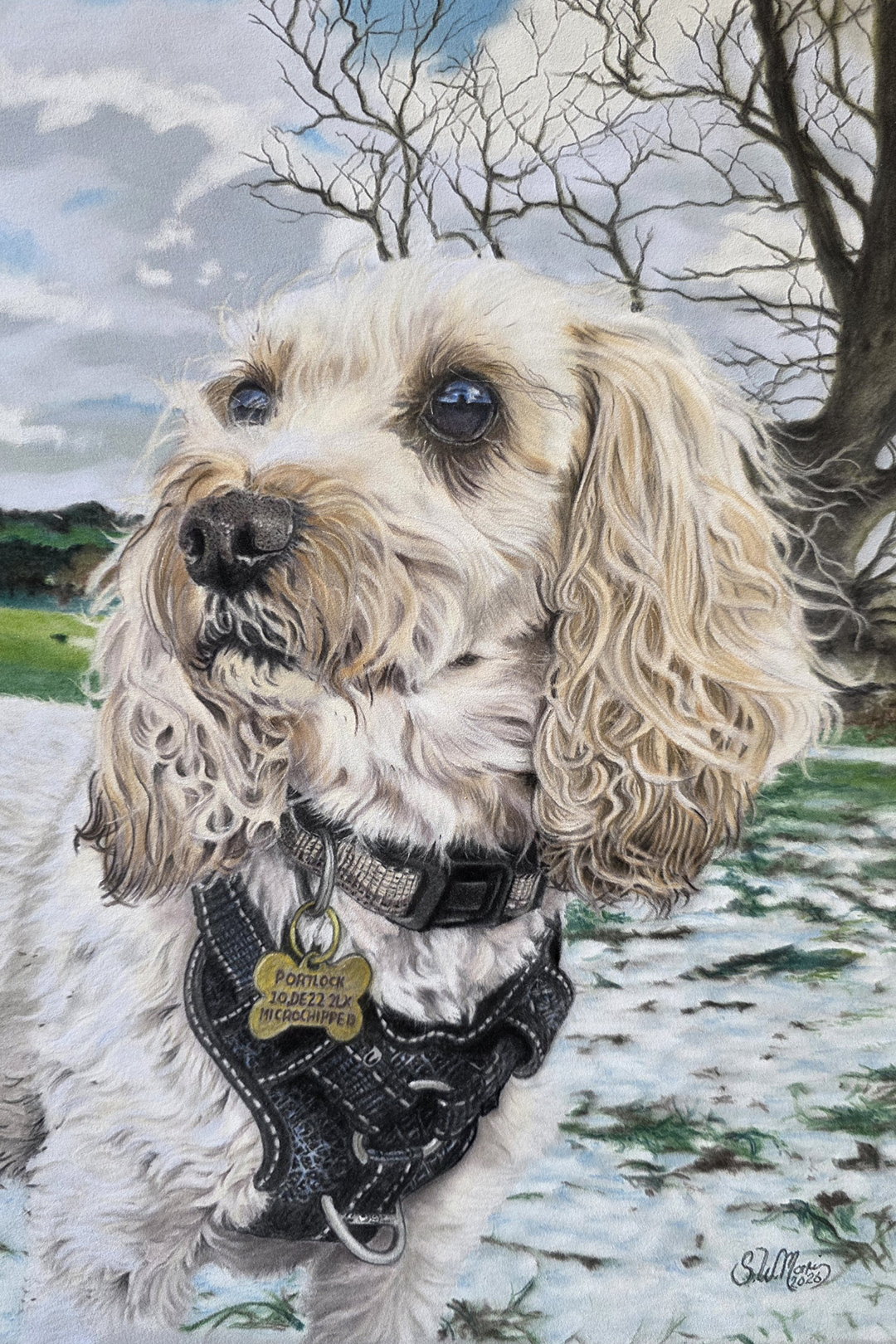 pastel-dog-portraits-uk-01