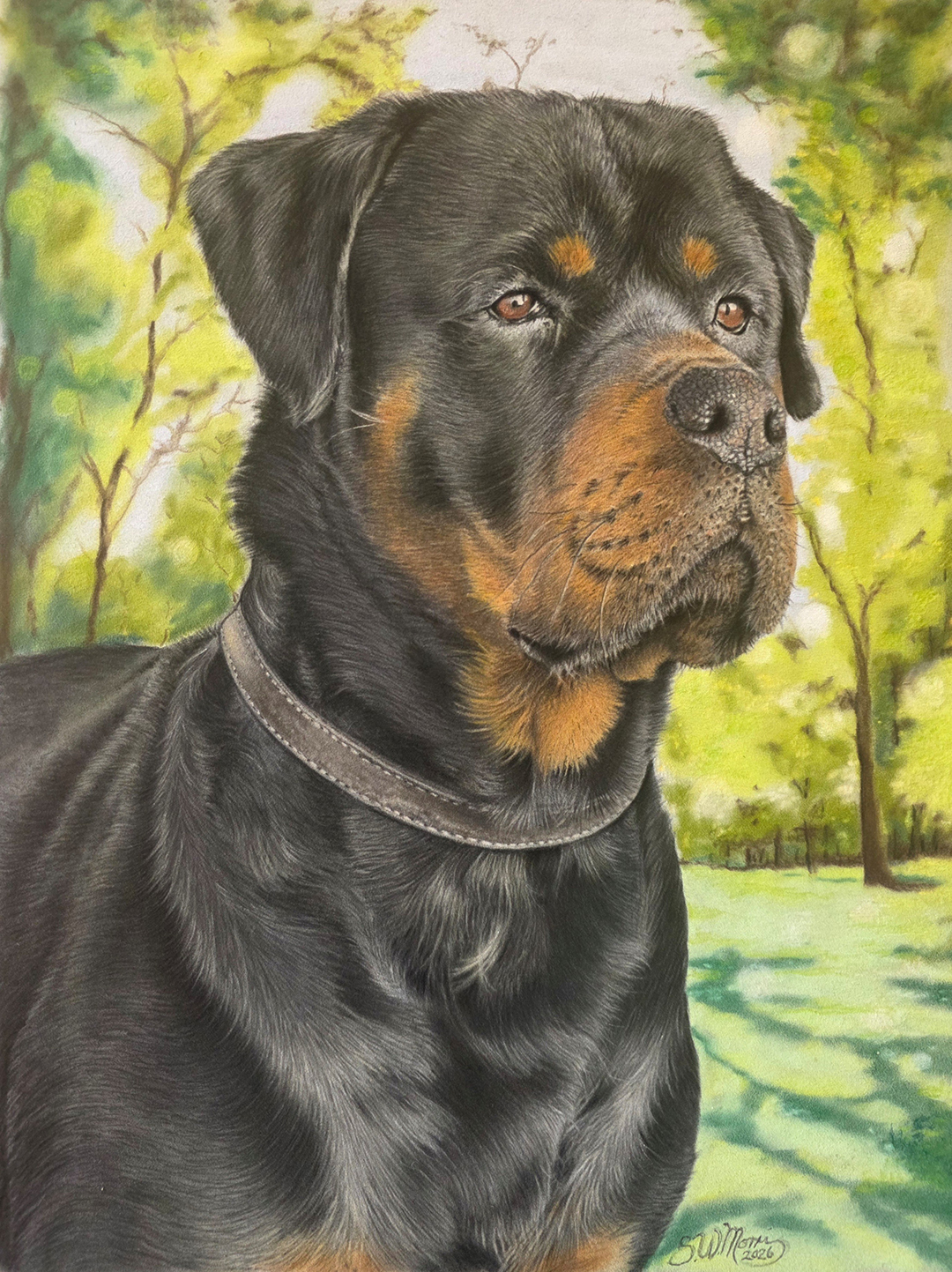 pastel-pet-portraits