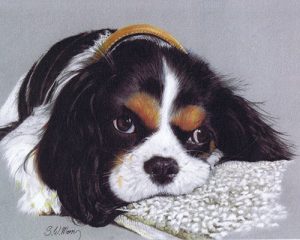 pastel-dog-portraits