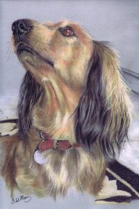 pastel-dog-portraits