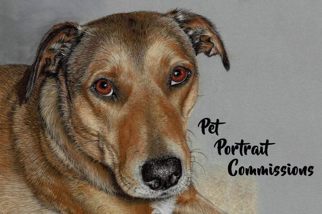 Pet Portraits Commissions