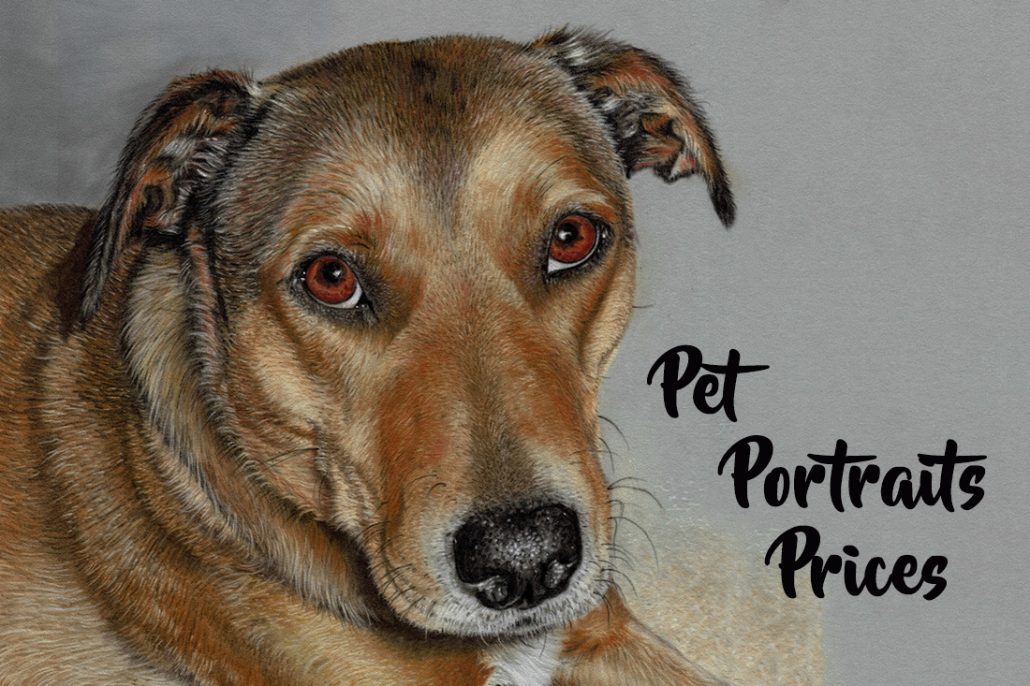 pet-portraits-prices-pet-portraits-of-your-dog-cat-or-horse