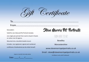 steve-morris-pet-portraits-gift-certificates