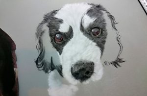 the-eyes-pastel-dog-portraits