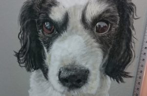 the-eyes-pastel-dog-portraits