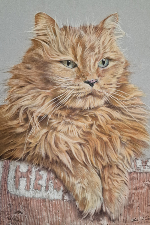pastel-cat-portraits