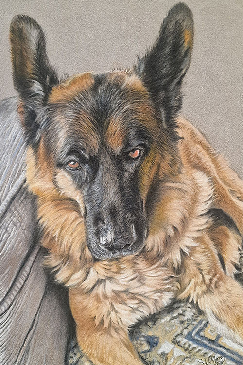 pastel-pet-portraits