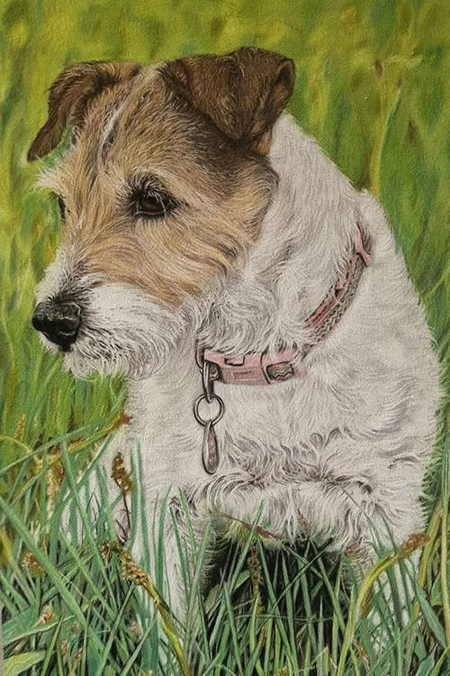 pastel-pet-portraits