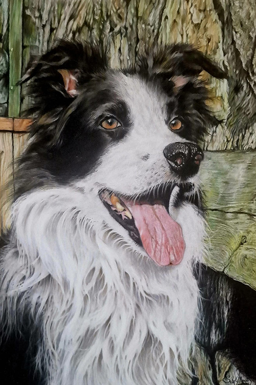 pastel-pet-portraits