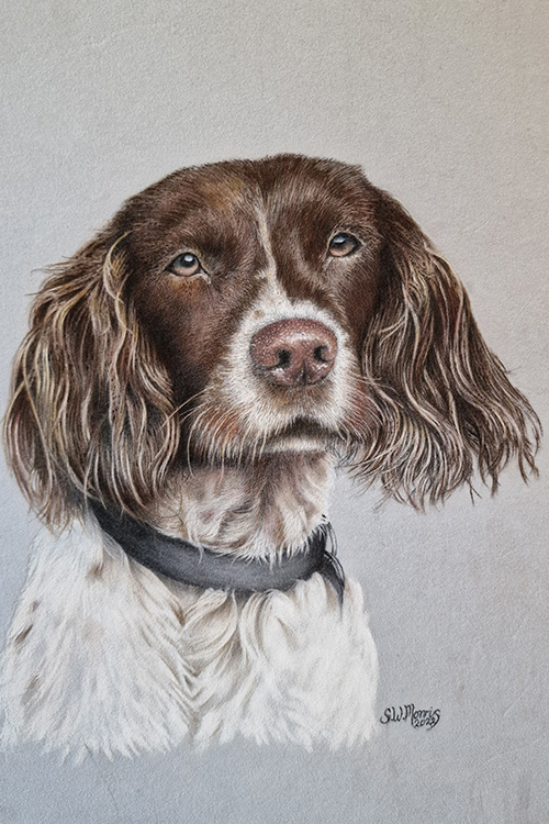 pastel-pet-portraits