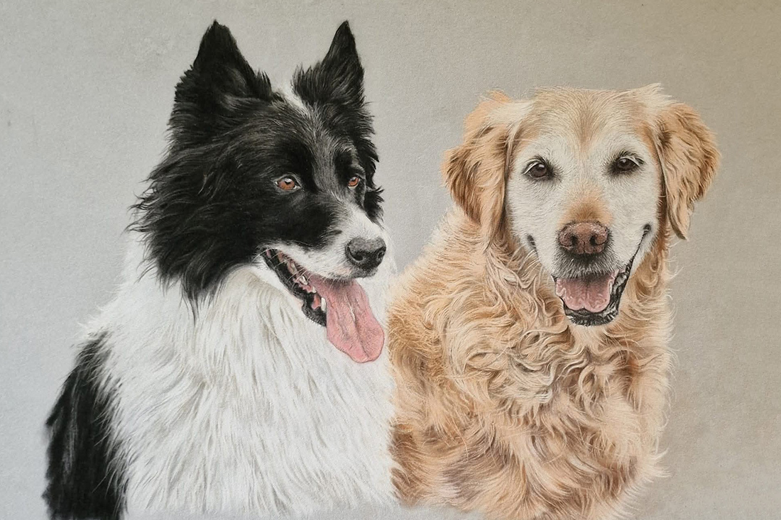 pastel-pet-portraits