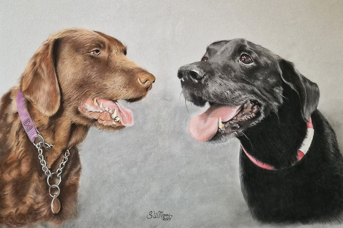 pastel-pet-portraits